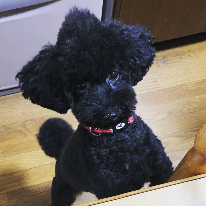 Ad03f59c 0242 4743 a26f 8a8ce298e1ba 1574553584081