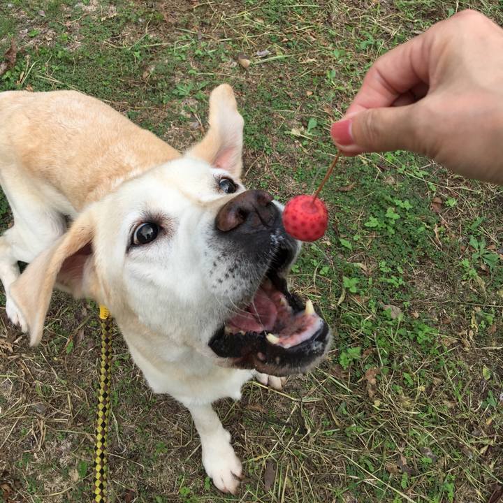 Ad042e59 e4de 4f65 9038 cedcefac0c33 1598222277963