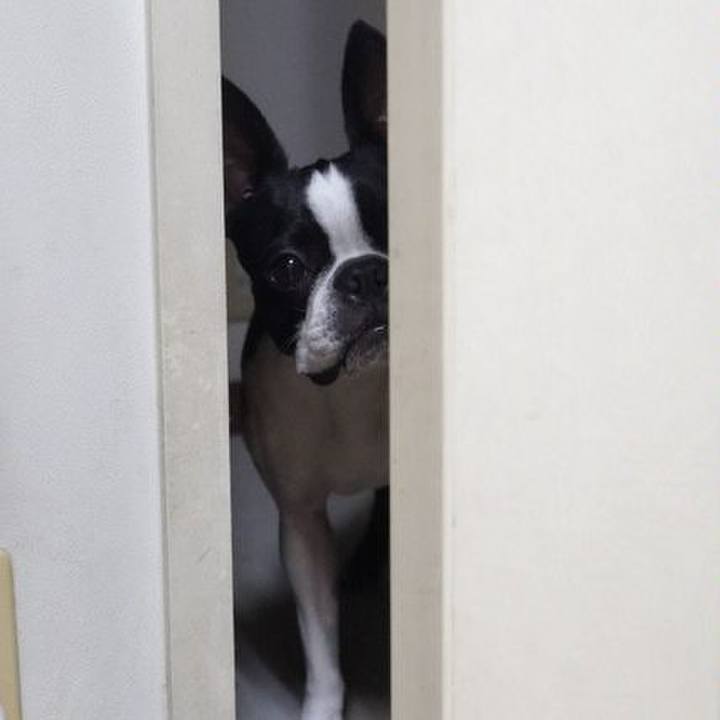 Ad047095 4596 4d1a bf60 f49abe4d03fe 1531052526813