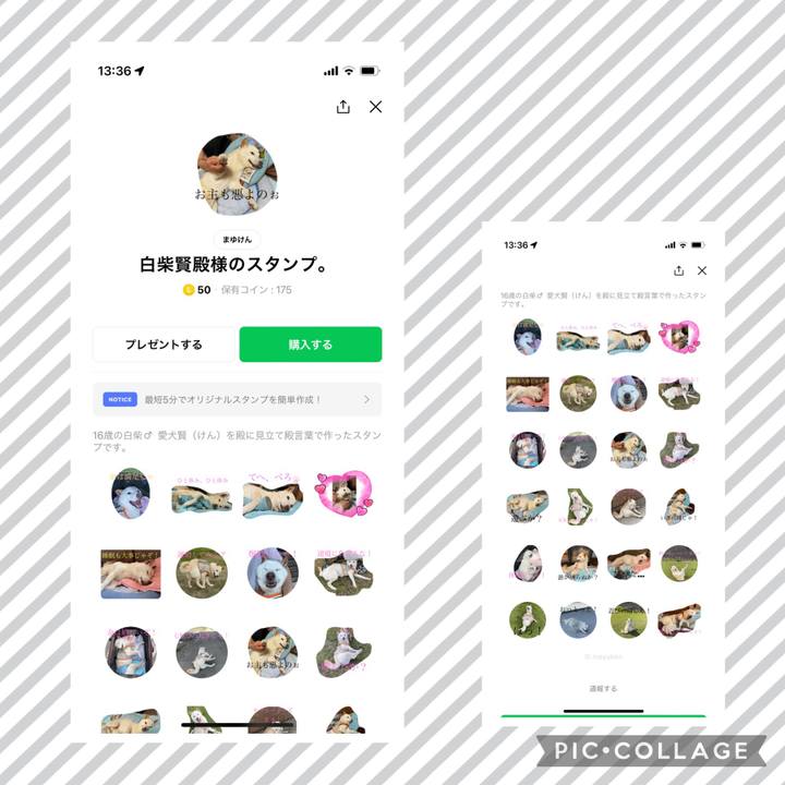 Ad049e49 0ce8 4da0 ac07 5accd3f89711 1660366086561