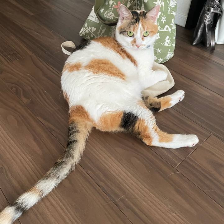 Ad04ee84 7e78 4236 a866 05ca03005505 1716522809713