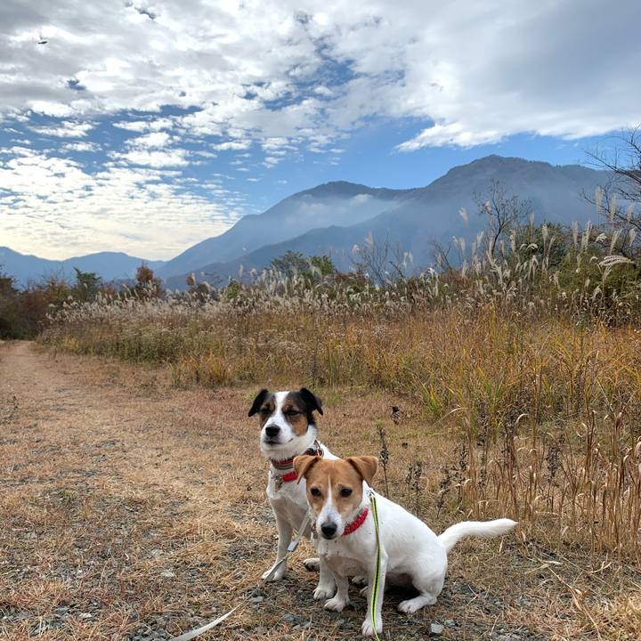 Ad0506f6 491d 4d36 a731 b370c027a021 1604732358089