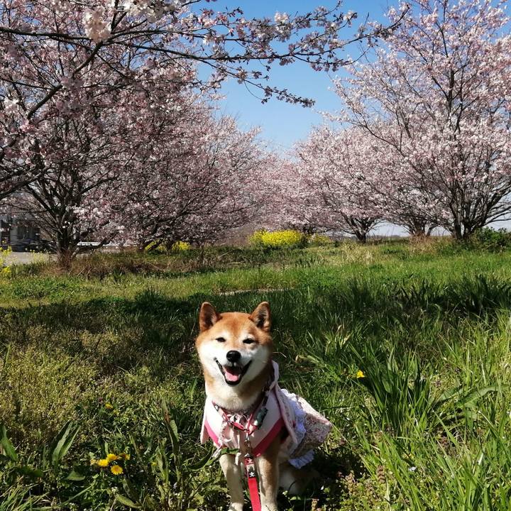 Ad051270 48dc 491b 9060 1b7b974ec2b1 1679490021531