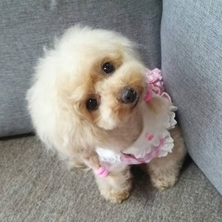 Ad052331 9d25 457d afe2 bd7d08cc4c82 1558483753653