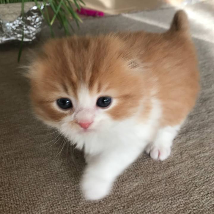 Ad057453 10a9 47e1 9bb7 1753c6278b24 1513597627168