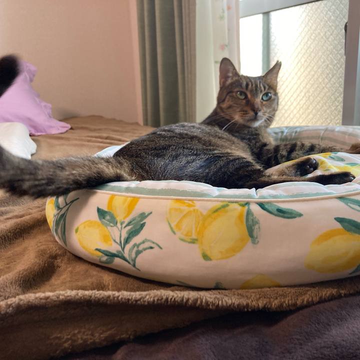 Ad057b02 798b 4302 b391 9c083e18526c 1720425572941