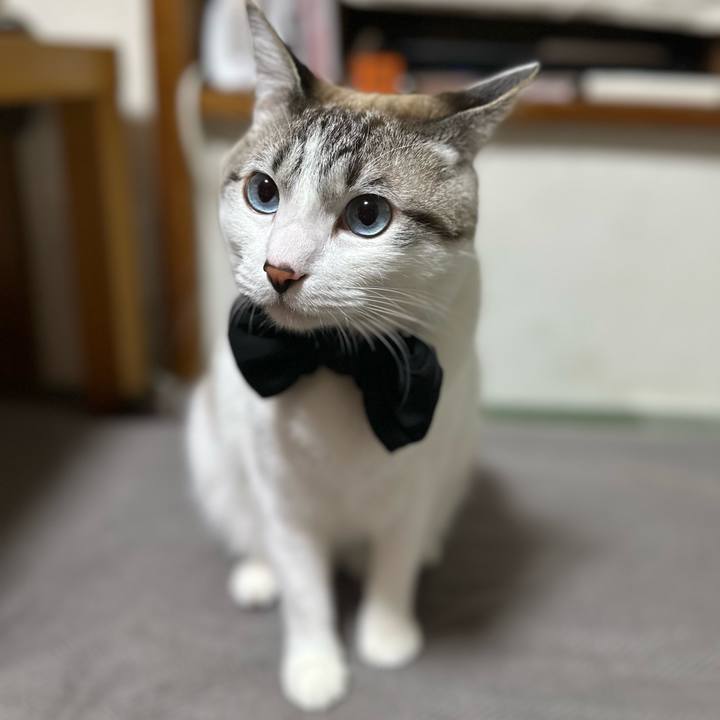 Ad05b514 bf2f 450c 9661 f82eb9417b99 1766840798453