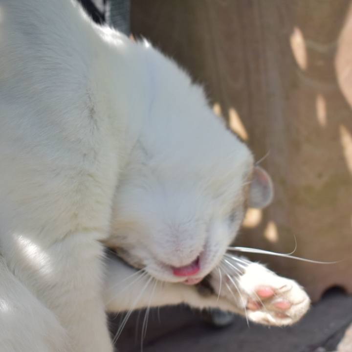 Ad062ebd 16e4 4fc0 ae0d 21ba53045d55 1526020264826