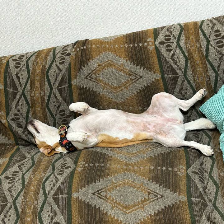 Ad0633a3 8a74 458a 8881 c4905c6f722c 1675061591301