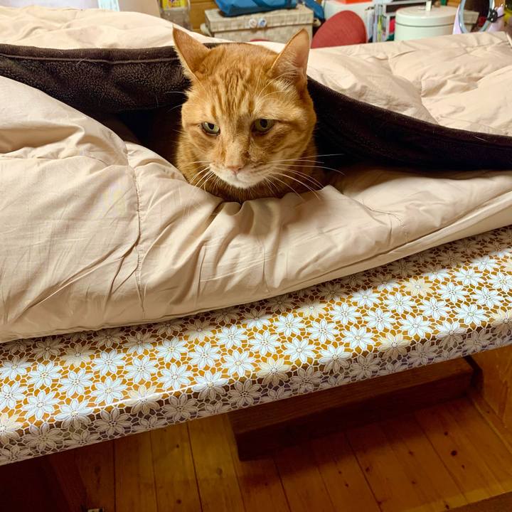 Ad0668ea 4d6e 415a 9fb6 2dfb47887c3b 1611538558025