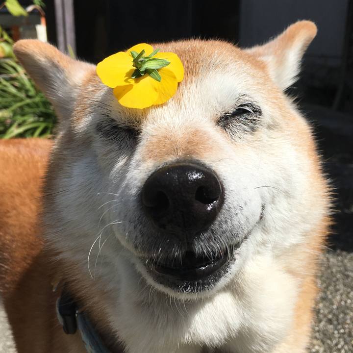 Ad0671f6 78b5 4f5a b18f 7cb42bda8100 1522377818348