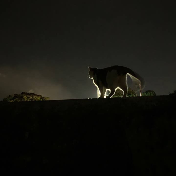 Ad0680f9 86de 4ac3 a868 c6fee83feb56 1568814862550