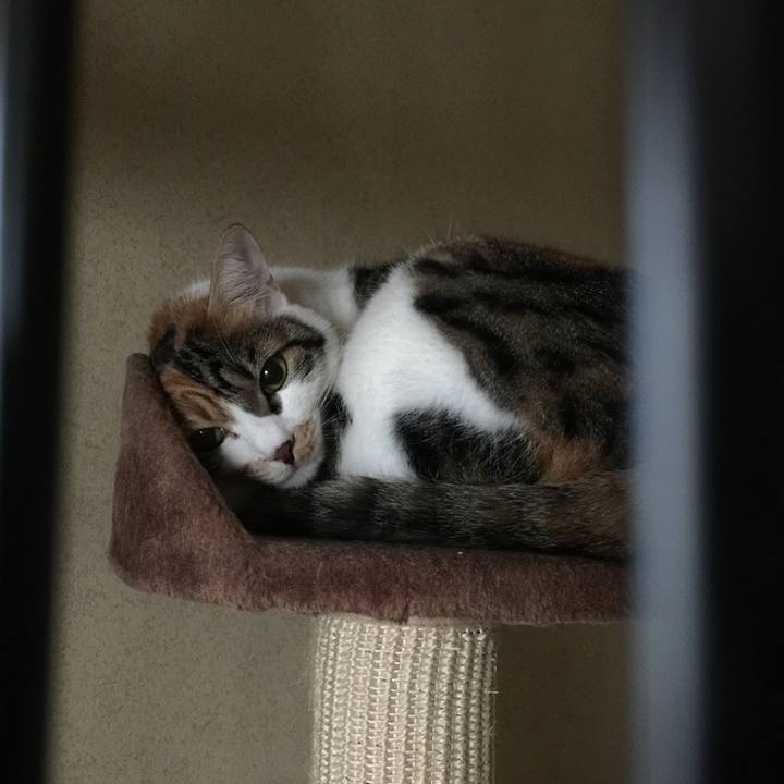 Ad068465 c575 4c56 804a e0d6fd6e1058 1667883262132