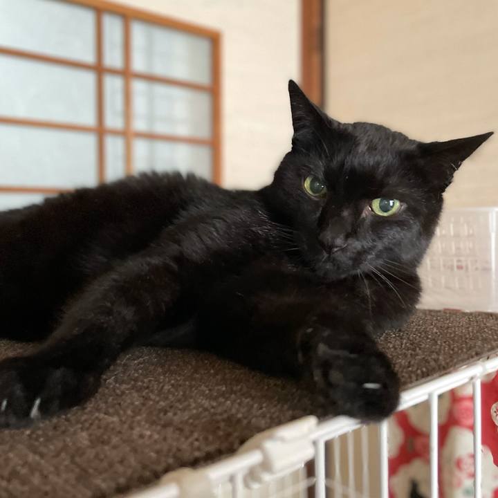 Ad0691f1 52ea 437c 975c b21ec7a359a0 1622944802794