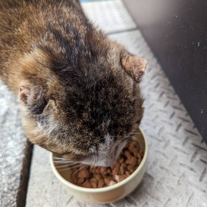 Ad06ba93 9513 4f1d bbf1 cb2de550e4e3 1681529078424