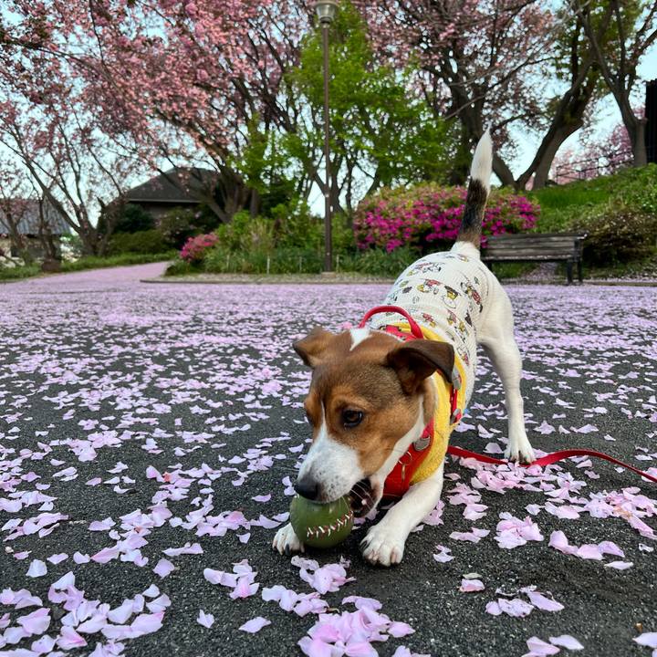 Ad0718a8 d33c 40bb 86db f4c7e692b47d 1713497857270