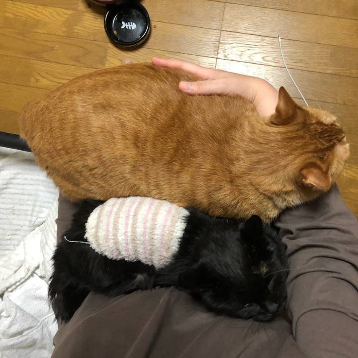 Ad073b42 2854 4e41 82ab 79d9ada49103 1641388598435