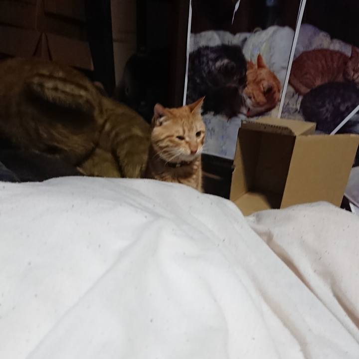 Ad073ef5 1074 44a1 b148 15ea9d1ddbfc 1643058131639