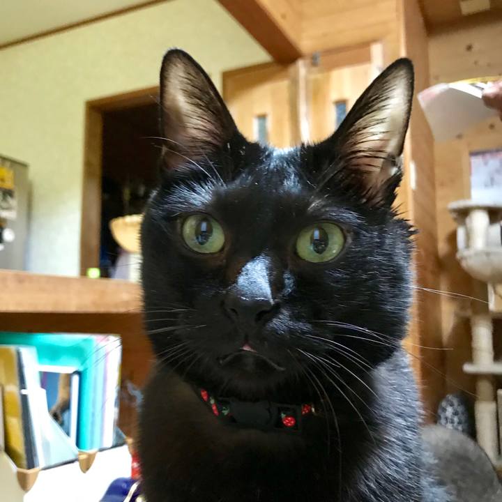 Ad07cddc 1106 437c 9d2b 84aaab4bab36 1543237424267