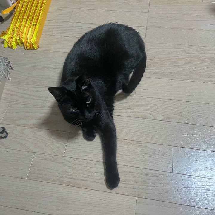 Ad07ce22 107c 488e 8cf7 cafca474006c 1735647420645