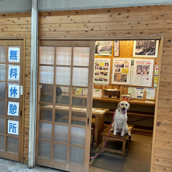 Ad081e89 a1c0 40c8 aa25 813463be4650 1650970058626