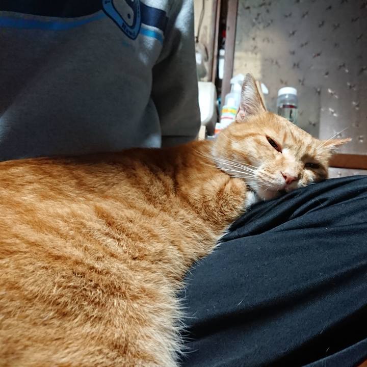 Ad084441 d641 4064 8176 abb560ba7d98 1602973000708