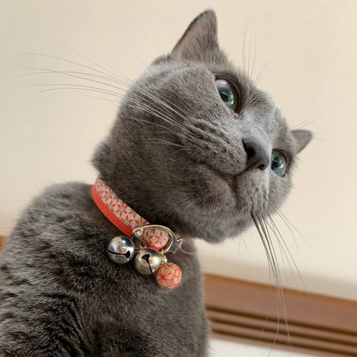 Ad084935 341a 4312 8951 e0f301511d87 1601359780054