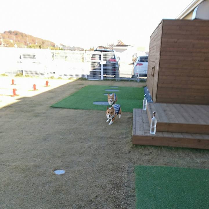 Ad084d3d e3d1 4125 b6ac f837a24b68f0 1544015656024