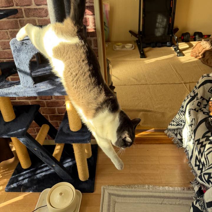 Ad085545 6fed 4bf0 b0a6 8a4bbbd72cec 1763253376388