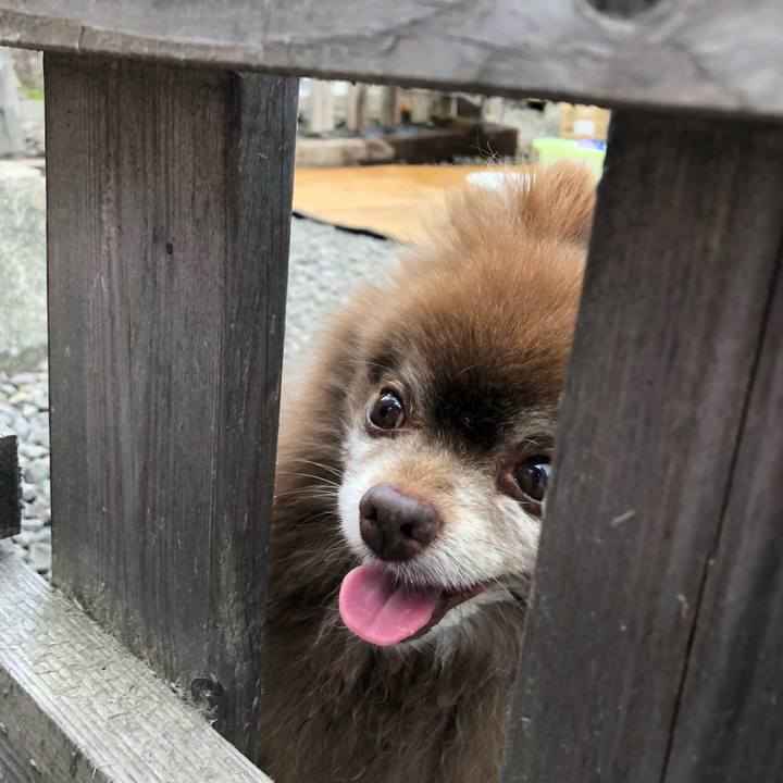 Ad087a2d 5e4f 46e5 a102 439bfdc5e253 1627449356334