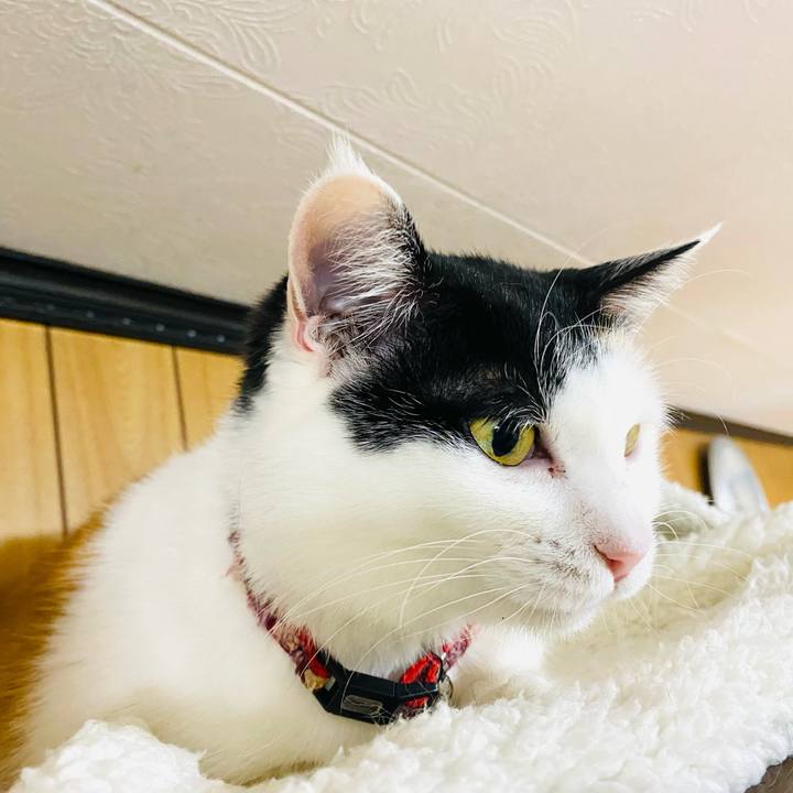 Ad088f51 5435 4339 b45e e5b3c1e4c569 1678716657019