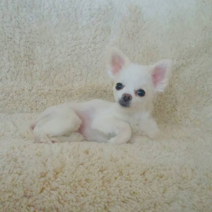 Ad08a017 2c21 4e15 b08a b60e218c1737 1554810090267