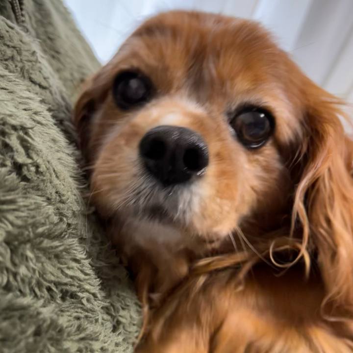 Ad08c4bd a1e6 4ad8 a646 9faba15c9c5e 1734236071414