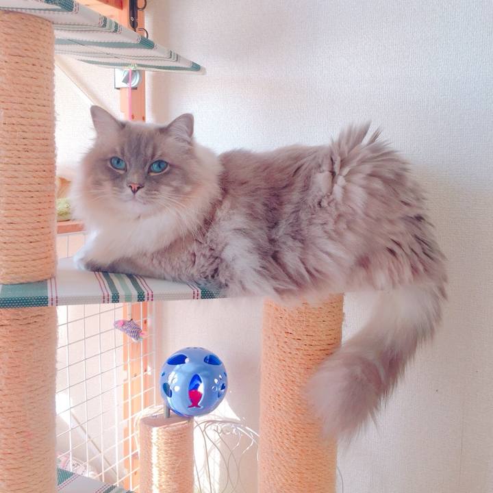 Ad08ccd5 ee2b 4562 9942 1258becea070 1514785028063