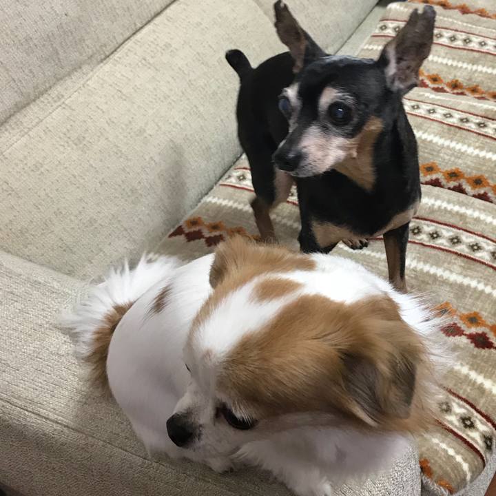 Ad08d655 b087 438e 9097 fce029f61965 1546602926780