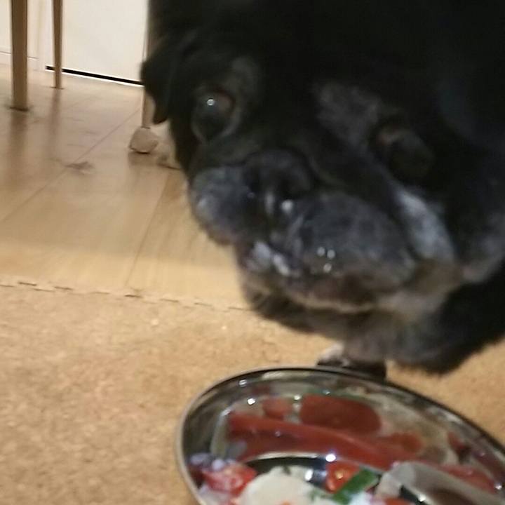 Ad08e7f0 c38e 4450 a9c6 c53333a39619 1543412262283