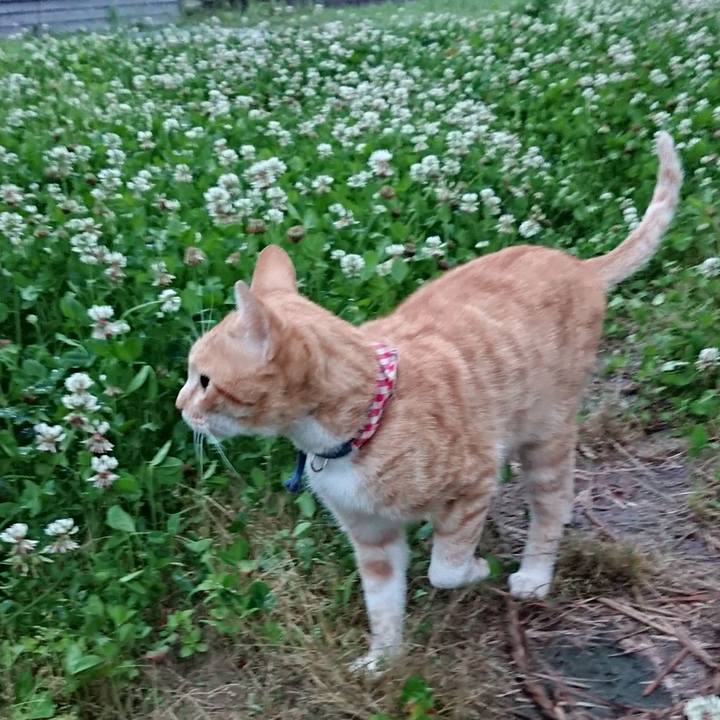 Ad08f738 35b1 4d66 ad84 8f5de9717e88 1561372660700