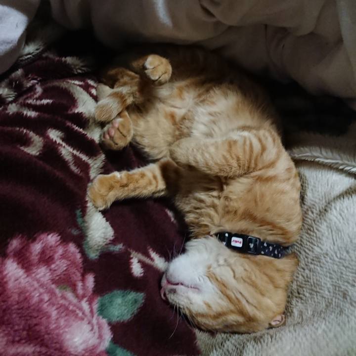 Ad09179c 4b95 4cd4 b427 66bdd748fc05 1635855722521