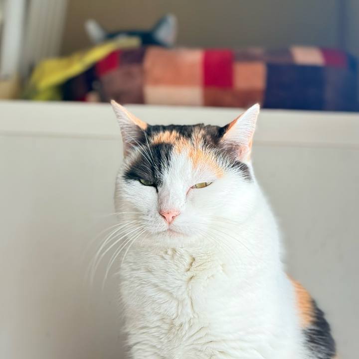 Ad096163 bab2 4e46 a1e4 6222eba2b22f 1737599811791