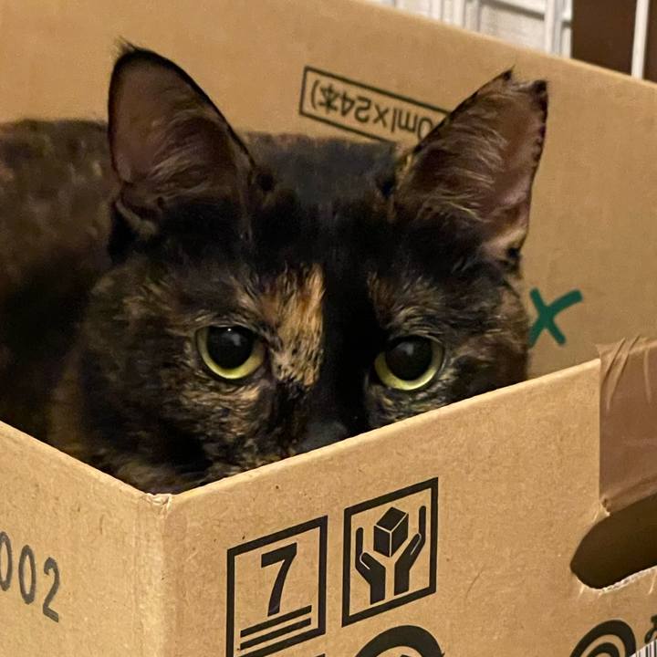 Ad09679b 848c 4be7 a644 98682bf8eb25 1736261116219