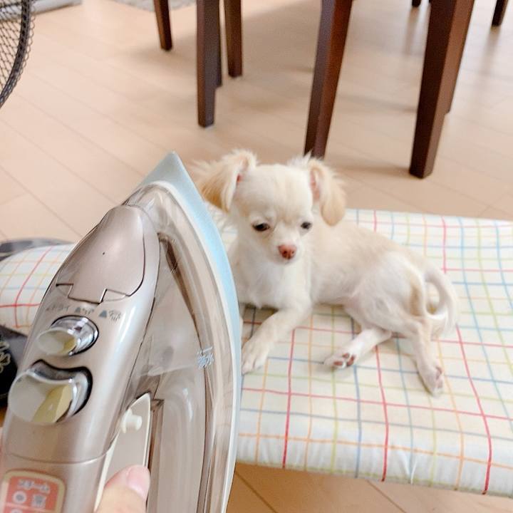 Ad09e15c a924 4f89 9b29 c07730ea3ae0 1592875945592