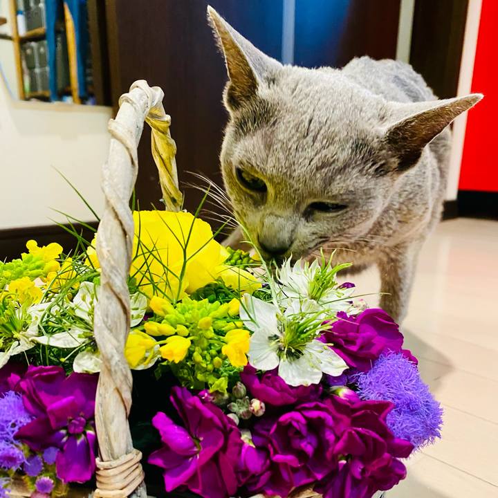 Ad09f1e5 5f92 436d b0bf 4a5e6043a4c2 1642896943603