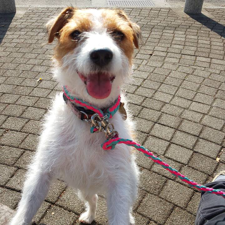 Ad0a3294 d2b6 4df0 8c75 889b2ee02201 1574140022445