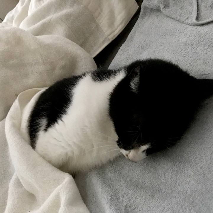 Ad0a4120 7c14 4146 ae66 754ad3a4193e 1564810170643