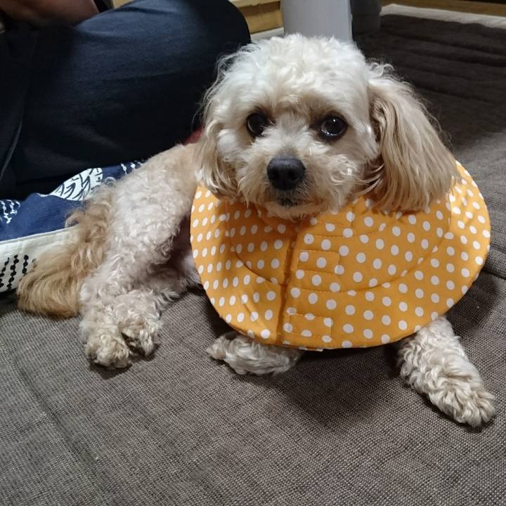 Ad0a82df 9d92 4e80 9c61 0858942218cd 1561986461587