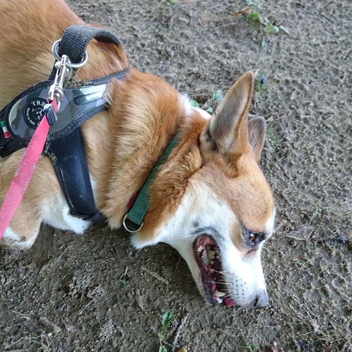 Ad0aa8fb 4cba 40ce 8a1c 17872dad6630 1632448270467