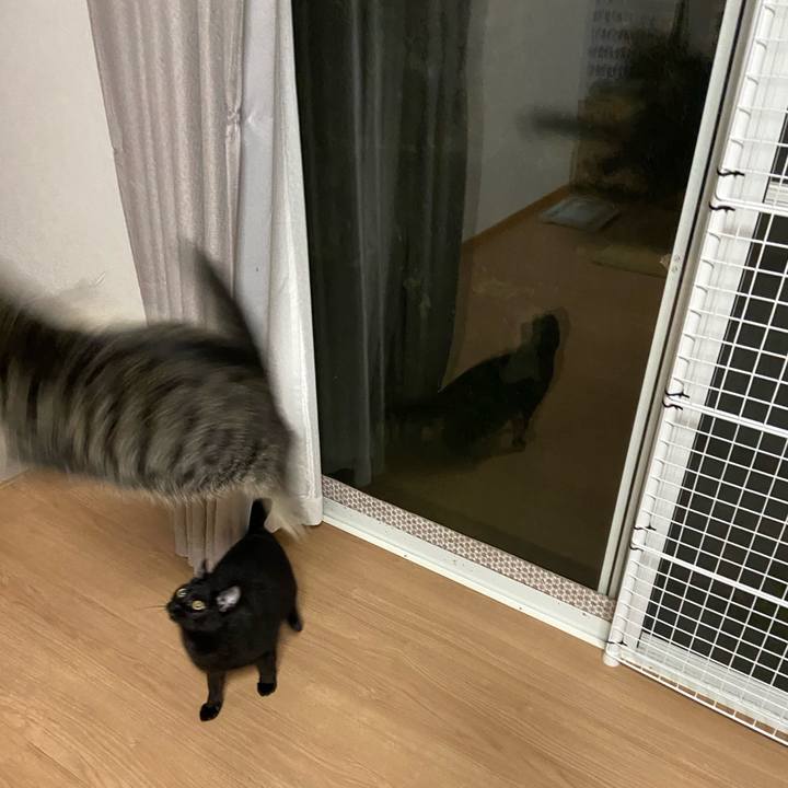 Ad0ac41b cfb3 4b1b ab63 4d3a63ae842b 1625831205719