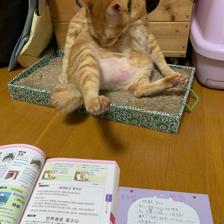 Ad0af735 b1a6 45dd aa70 315eca5e44b0 1614979867388