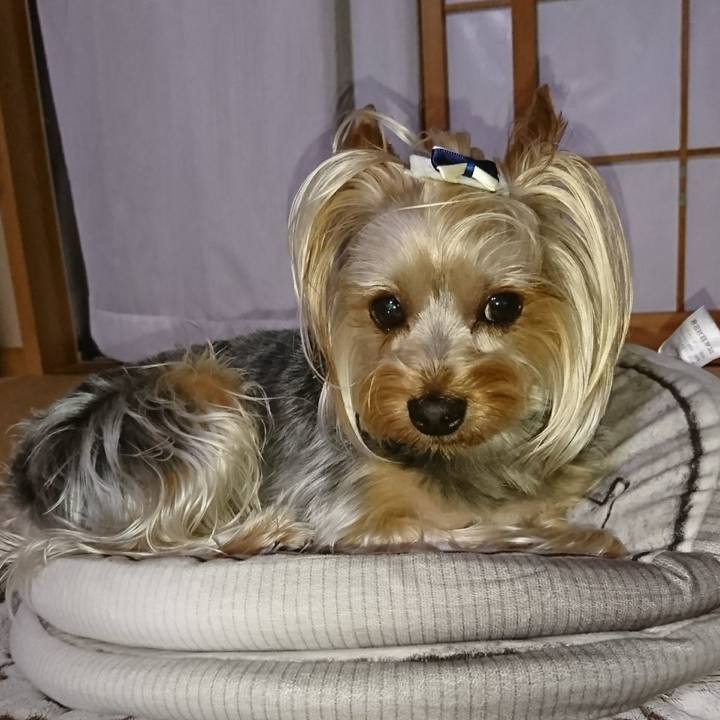 Ad0b09dd e9f1 4ee6 9002 dd571bd44295 1560164189896