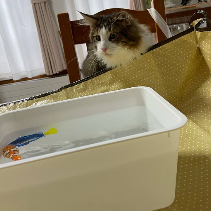 Ad0b0c83 5ded 41f8 8fcf 3639cb029a11 1637476257723